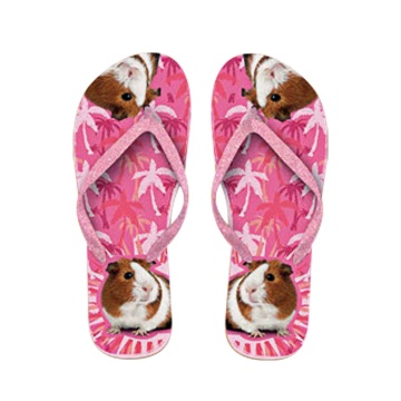 x PLENTY GIFTS ΣΑΓΙΟΝΑΡΕΣ FLIP FLOPS GUINEA PIG  Νο 37-39