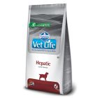 Vetlife Dog Hepatic 12kg