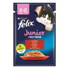 Felix Agail Junior Βοδινό σε Ζελέ 85gr