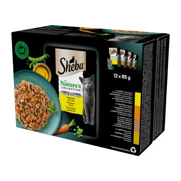 Sheba Γάτας Πουλερικά σε Ζελέ 12x85gr