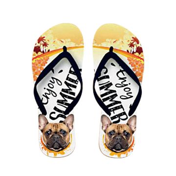 x PLENTY GIFTS ΣΑΓΙΟΝΑΡΕΣ FLIP FLOPS FRENCH BULLDOG  Νο 40-42