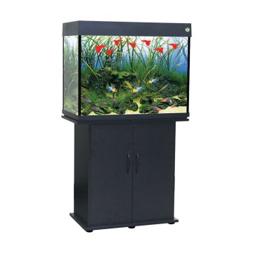 Anubias A800+ LED τ. RIO125 Black