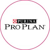 Pro Plan
